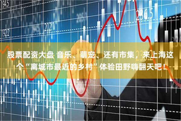 股票配资大盘 音乐、萌宠、还有市集，来上海这个“离城市最近的乡村”体验田野嗨翻天吧！