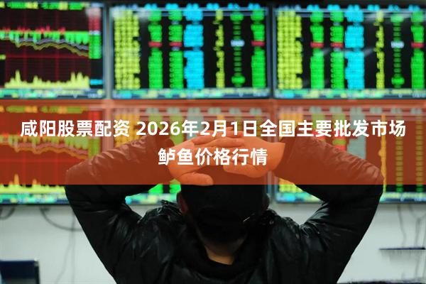 咸阳股票配资 2026年2月1日全国主要批发市场鲈鱼价格行情
